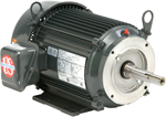 US Motors Close Coupled Pump Motor Image